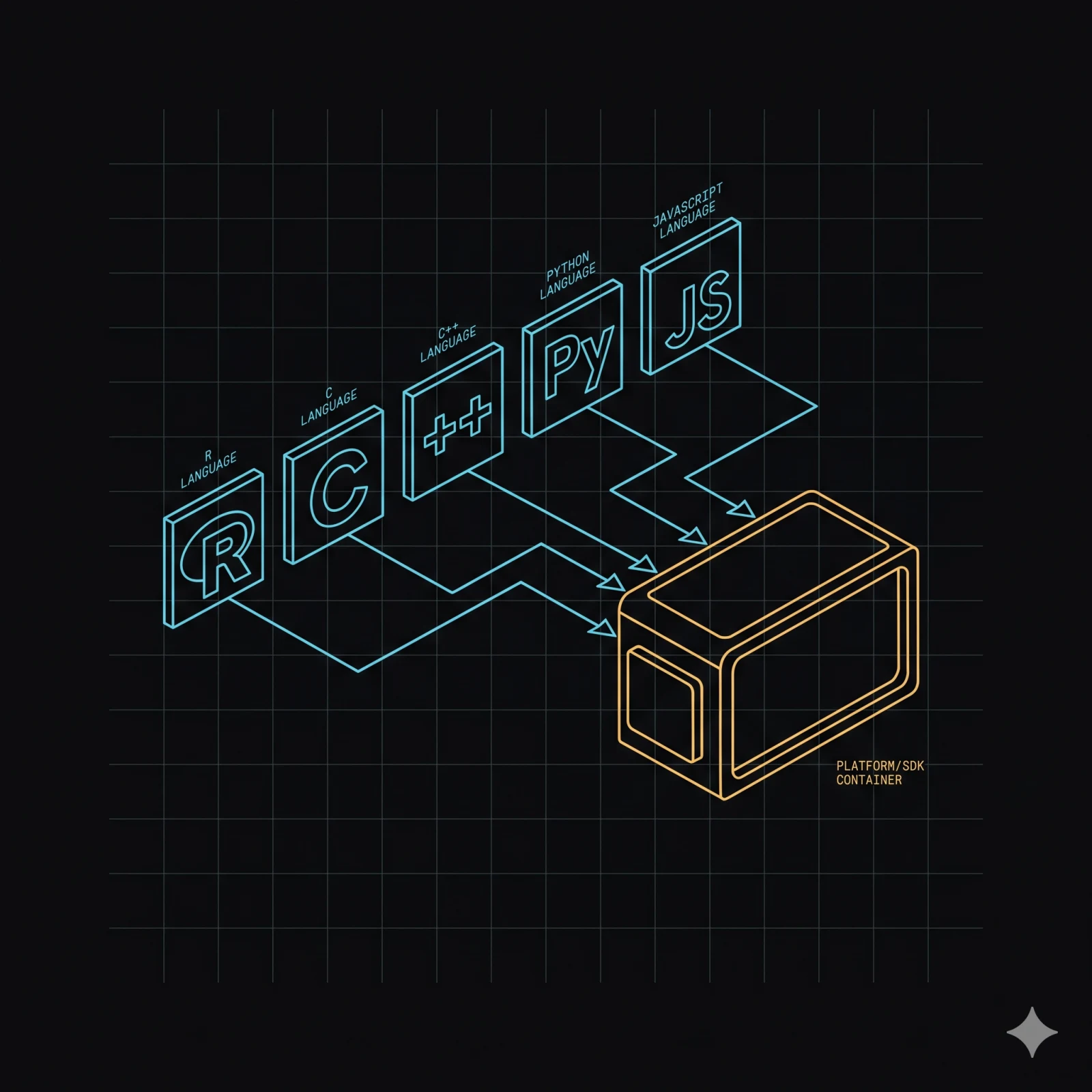Six language symbols (Py, R, Lua, Go, C, ++) feeding by arrows into a single container outline — amber on the container